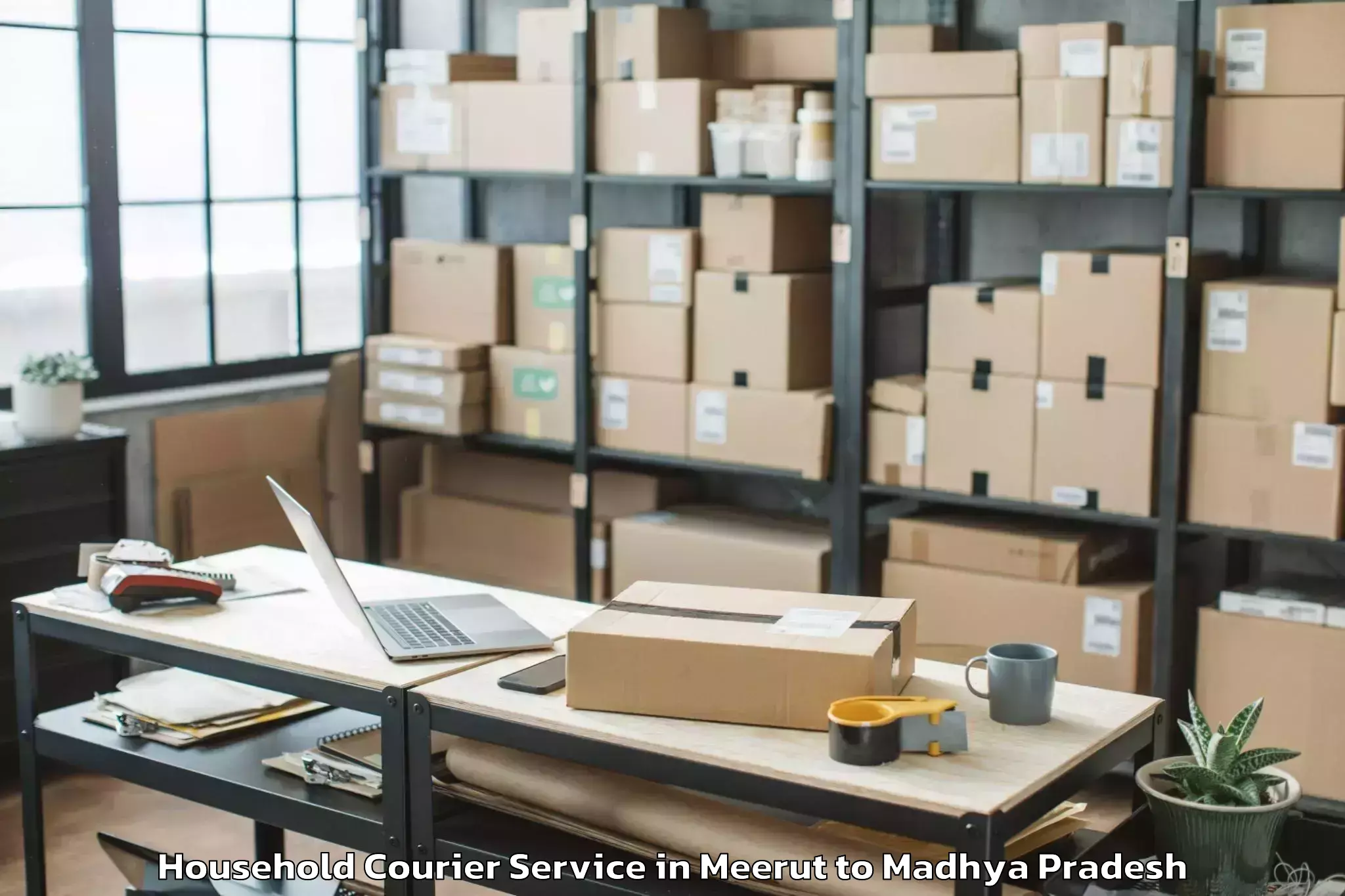 Quality Meerut to Nalkheda Household Courier